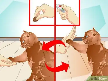 Image titled Teach a Cat to "High Five" Step 29